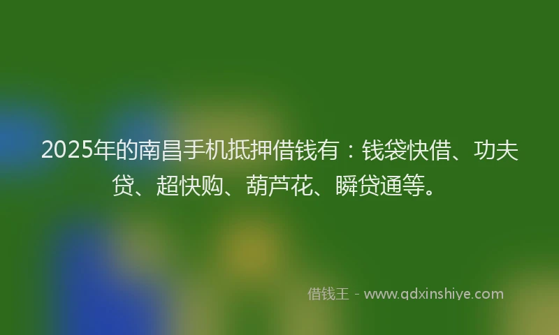 2025年的南昌手机抵押借钱有：钱袋快借、功夫贷、超快购、葫芦花、瞬贷通等。