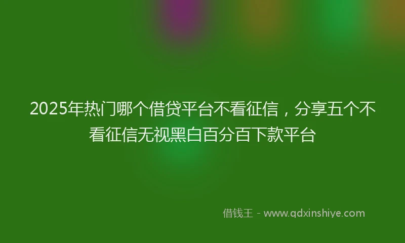 2025年热门哪个借贷平台不看征信，分享五个不看征信无视黑白百分百下款平台