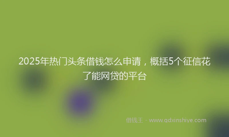 2025年热门头条借钱怎么申请，概括5个征信花了能网贷的平台