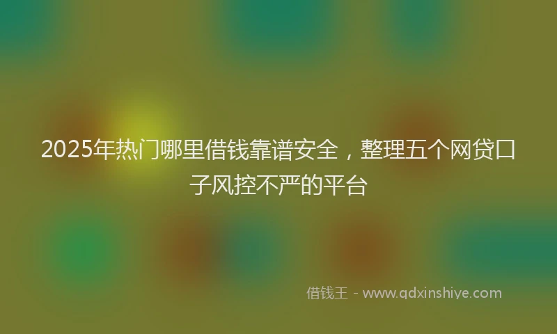 2025年热门哪里借钱靠谱安全，整理五个网贷口子风控不严的平台