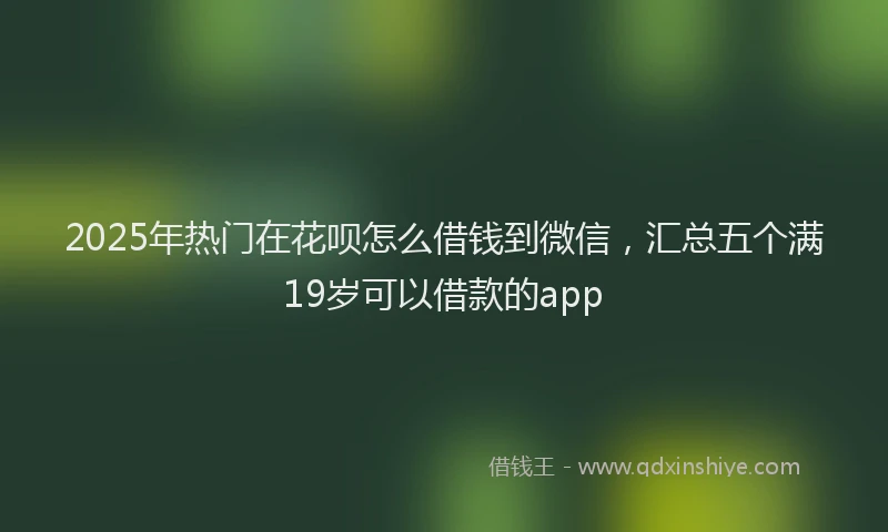 2025年热门在花呗怎么借钱到微信，汇总五个满19岁可以借款的app