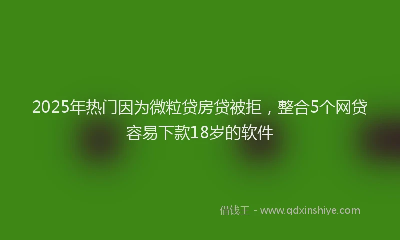 2025年热门因为微粒贷房贷被拒，整合5个网贷容易下款18岁的软件