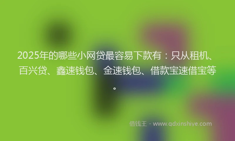 2025年的哪些小网贷最容易下款有：只从租机、百兴贷、鑫速钱包、金速钱包、借款宝速借宝等。