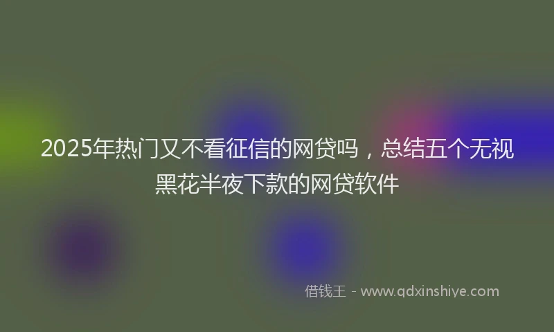 2025年热门又不看征信的网贷吗，总结五个无视黑花半夜下款的网贷软件