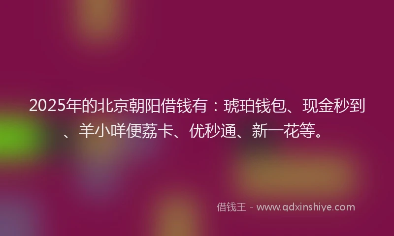 2025年的北京朝阳借钱有：琥珀钱包、现金秒到、羊小咩便荔卡、优秒通、新一花等。