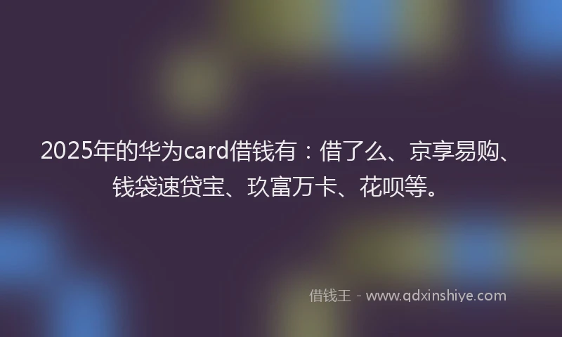 2025年的华为card借钱有：借了么、京享易购、钱袋速贷宝、玖富万卡、花呗等。
