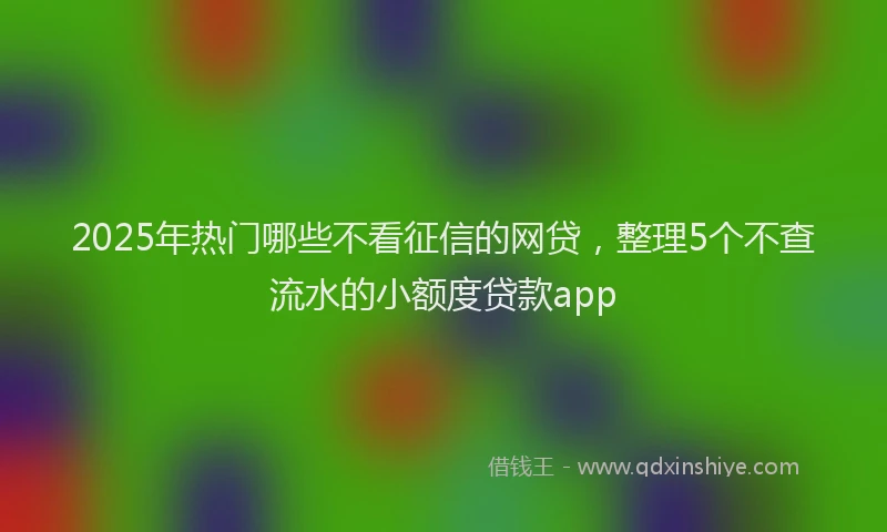 2025年热门哪些不看征信的网贷，整理5个不查流水的小额度贷款app