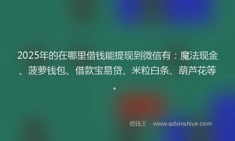 2025年的在哪里借钱能提现到微信有：魔法现金、菠萝钱包、借款宝易贷、米粒白条、葫芦花等。