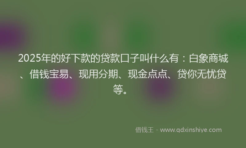 2025年的好下款的贷款口子叫什么有：白象商城、借钱宝易、现用分期、现金点点、贷你无忧贷等。