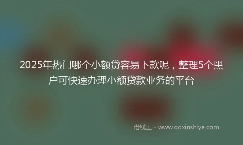 2025年热门哪个小额贷容易下款呢，整理5个黑户可快速办理小额贷款业务的平台