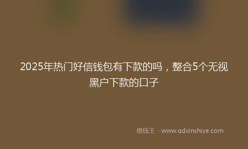 2025年热门好信钱包有下款的吗，整合5个无视黑户下款的口子