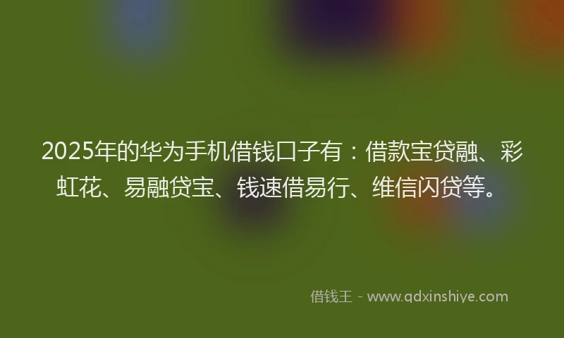 2025年的华为手机借钱口子有：借款宝贷融、彩虹花、易融贷宝、钱速借易行、维信闪贷等。