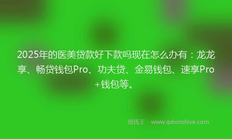 2025年的医美贷款好下款吗现在怎么办有：龙龙享、畅贷钱包Pro、功夫贷、金易钱包、速享Pro+钱包等。