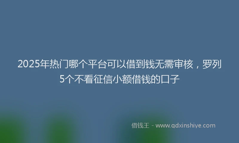 2025年热门哪个平台可以借到钱无需审核，罗列5个不看征信小额借钱的口子