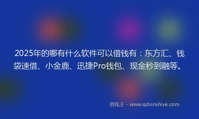 2025年的哪有什么软件可以借钱有：东方汇、钱袋速借、小金鹿、迅捷Pro钱包、现金秒到融等。