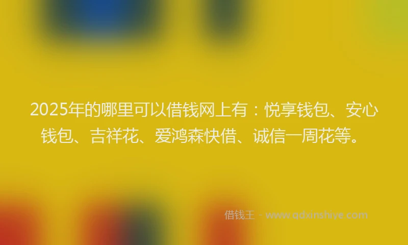 2025年的哪里可以借钱网上有：悦享钱包、安心钱包、吉祥花、爱鸿森快借、诚信一周花等。