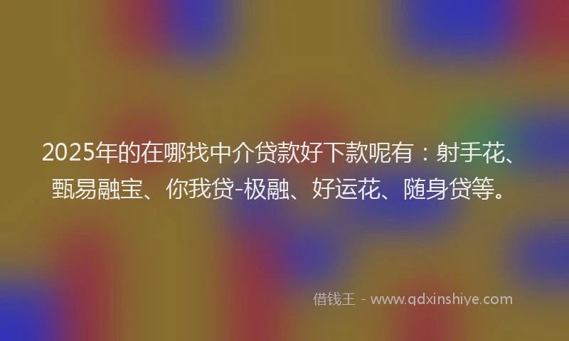 2025年的在哪找中介贷款好下款呢有：射手花、甄易融宝、你我贷-极融、好运花、随身贷等。