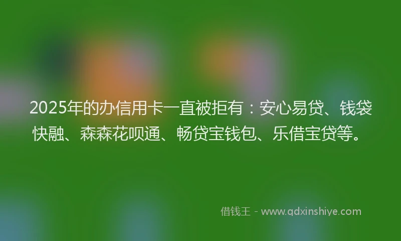 2025年的办信用卡一直被拒有：安心易贷、钱袋快融、森森花呗通、畅贷宝钱包、乐借宝贷等。