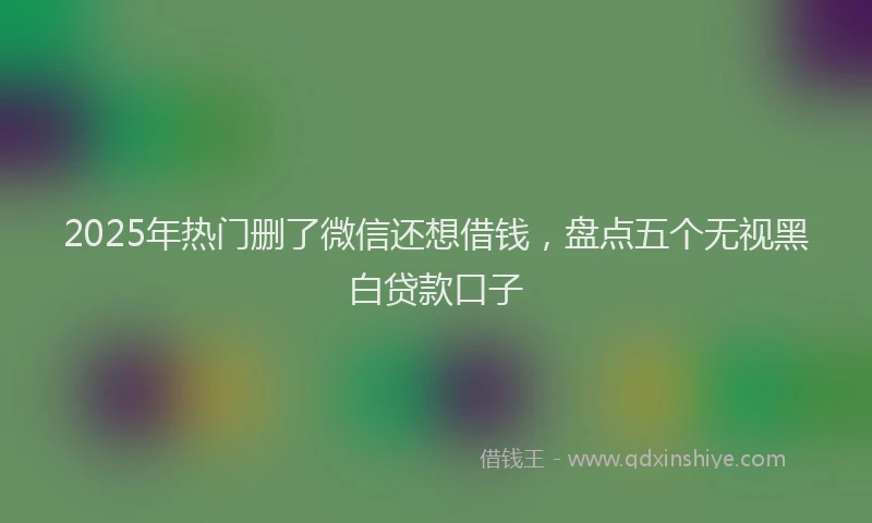 2025年热门删了微信还想借钱，盘点五个无视黑白贷款口子