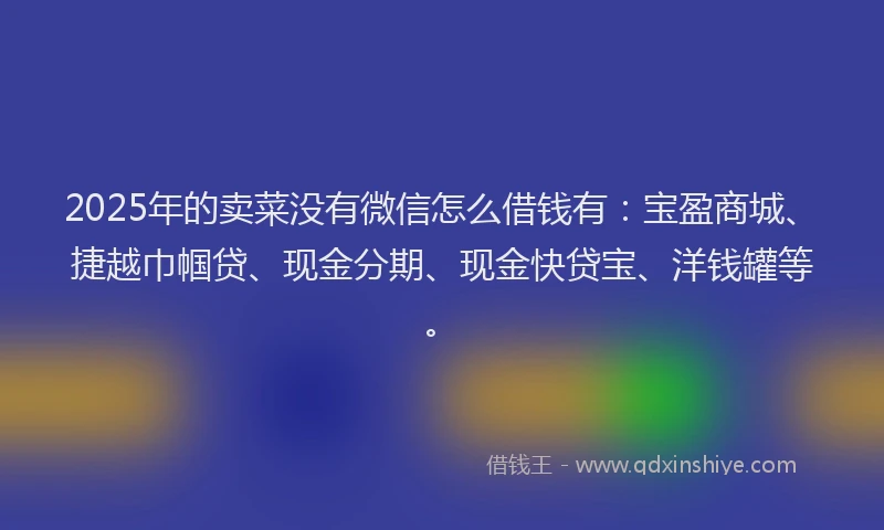 2025年的卖菜没有微信怎么借钱有：宝盈商城、捷越巾帼贷、现金分期、现金快贷宝、洋钱罐等。