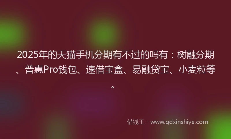 2025年的天猫手机分期有不过的吗有：树融分期、普惠Pro钱包、速借宝盒、易融贷宝、小麦粒等。