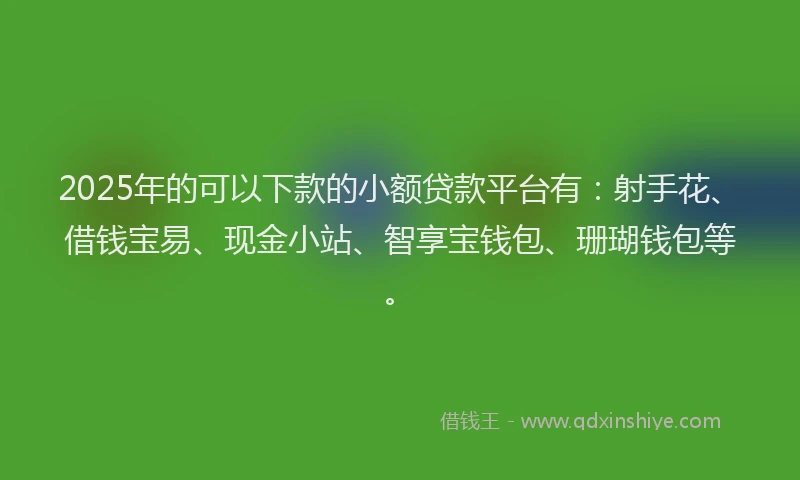 2025年的可以下款的小额贷款平台有：射手花、借钱宝易、现金小站、智享宝钱包、珊瑚钱包等。