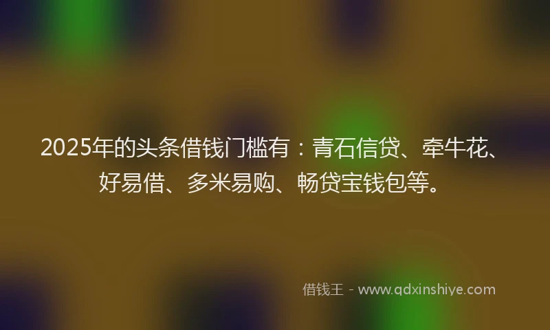2025年的头条借钱门槛有：青石信贷、牵牛花、好易借、多米易购、畅贷宝钱包等。