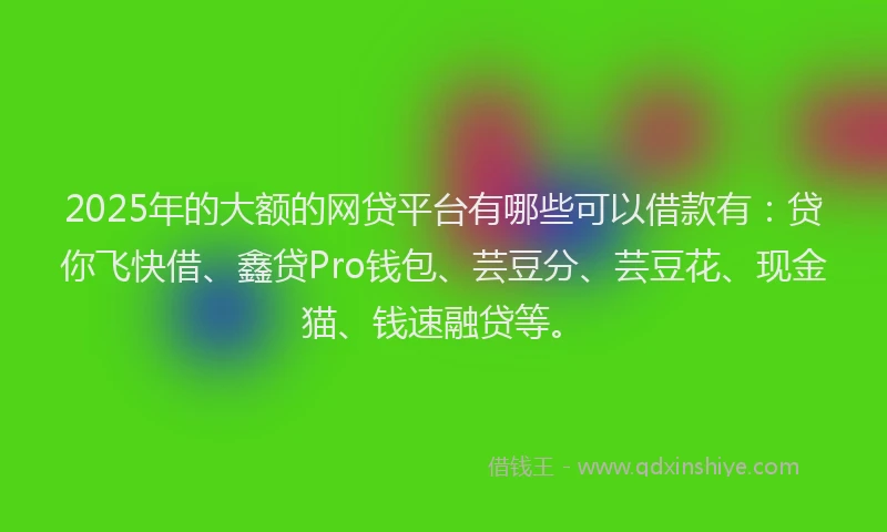 2025年的大额的网贷平台有哪些可以借款有：贷你飞快借、鑫贷Pro钱包、芸豆分、芸豆花、现金猫、钱速融贷等。