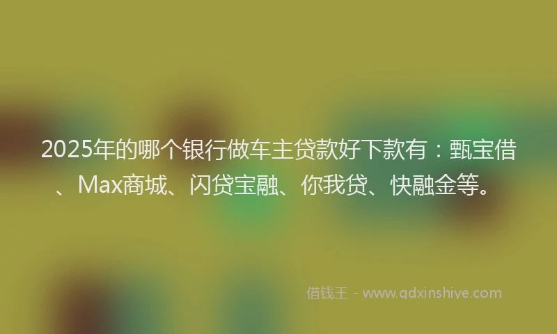 2025年的哪个银行做车主贷款好下款有：甄宝借、Max商城、闪贷宝融、你我贷、快融金等。