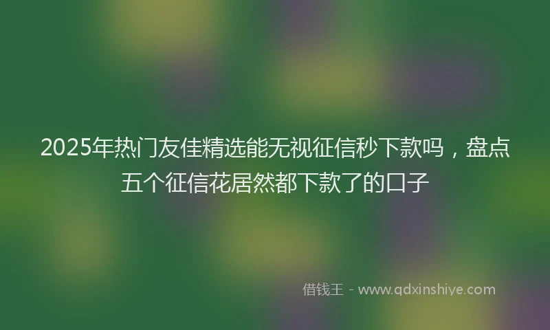 2025年热门友佳精选能无视征信秒下款吗，盘点五个征信花居然都下款了的口子