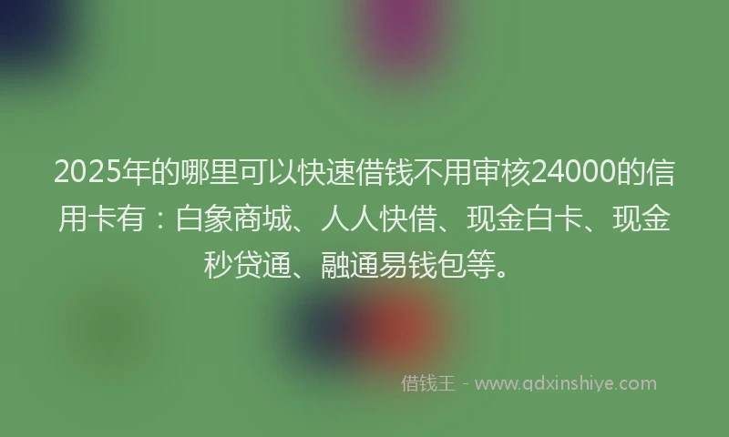 2025年的哪里可以快速借钱不用审核24000的信用卡有：白象商城、人人快借、现金白卡、现金秒贷通、融通易钱包等。