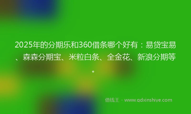 2025年的分期乐和360借条哪个好有：易贷宝易、森森分期宝、米粒白条、全金花、新浪分期等。