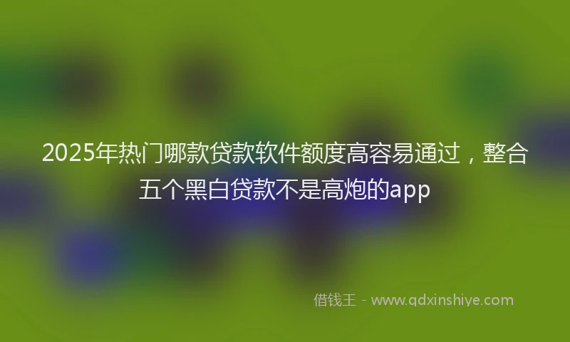 2025年热门哪款贷款软件额度高容易通过，整合五个黑白贷款不是高炮的app