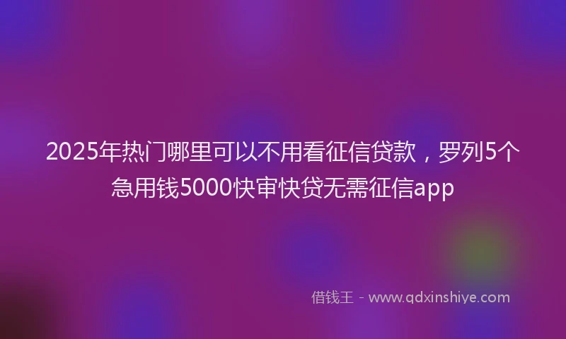 2025年热门哪里可以不用看征信贷款，罗列5个急用钱5000快审快贷无需征信app