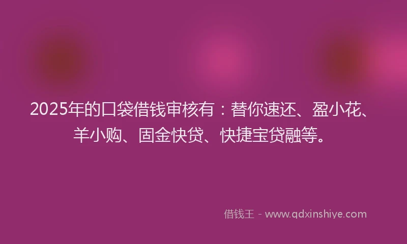 2025年的口袋借钱审核有：替你速还、盈小花、羊小购、固金快贷、快捷宝贷融等。