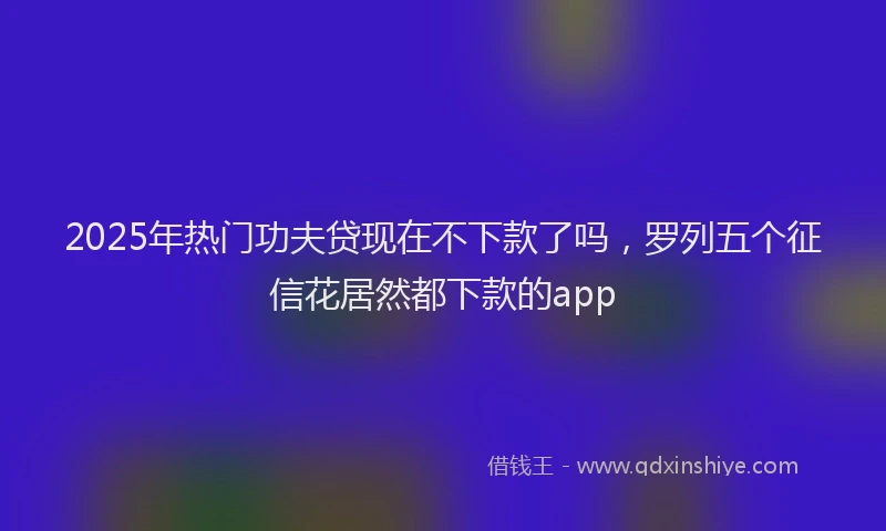 2025年热门功夫贷现在不下款了吗，罗列五个征信花居然都下款的app