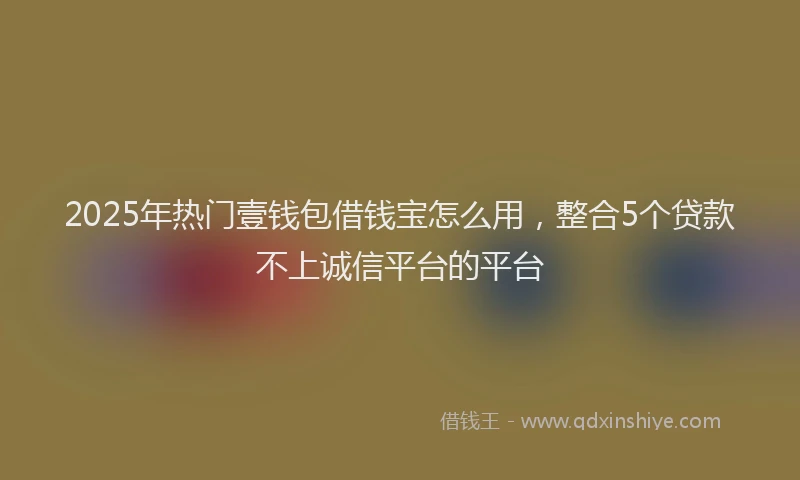 2025年热门壹钱包借钱宝怎么用，整合5个贷款不上诚信平台的平台