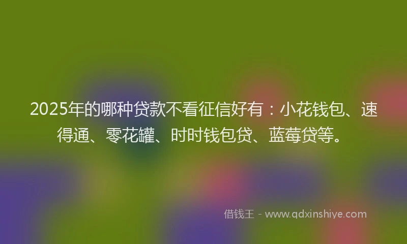 2025年的哪种贷款不看征信好有：小花钱包、速得通、零花罐、时时钱包贷、蓝莓贷等。