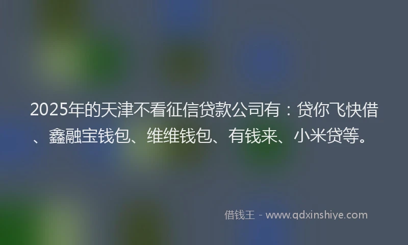 2025年的天津不看征信贷款公司有：贷你飞快借、鑫融宝钱包、维维钱包、有钱来、小米贷等。