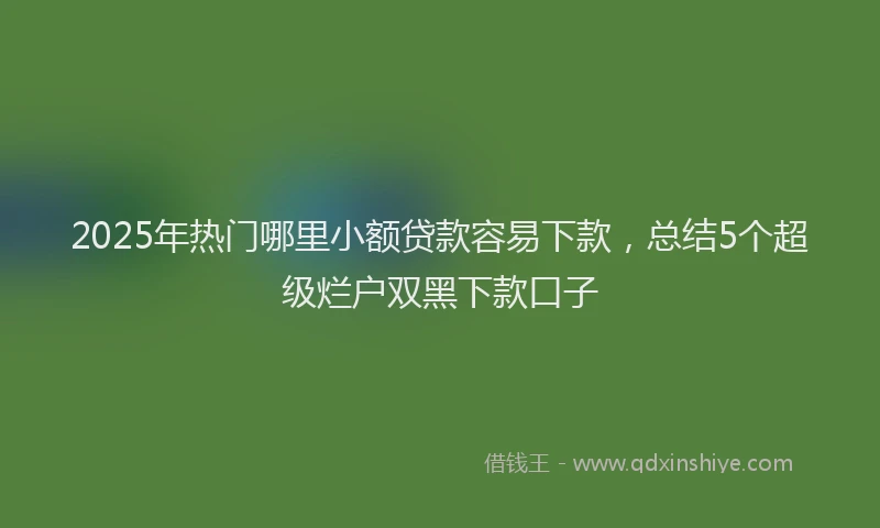 2025年热门哪里小额贷款容易下款，总结5个超级烂户双黑下款口子