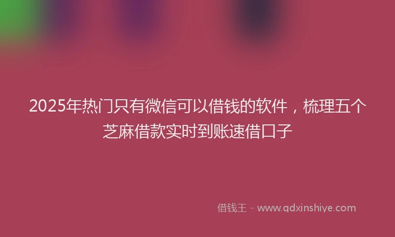 2025年热门只有微信可以借钱的软件，梳理五个芝麻借款实时到账速借口子