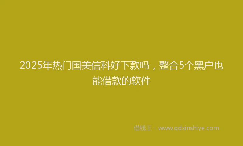 2025年热门国美信科好下款吗，整合5个黑户也能借款的软件