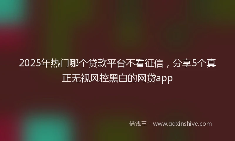 2025年热门哪个贷款平台不看征信，分享5个真正无视风控黑白的网贷app