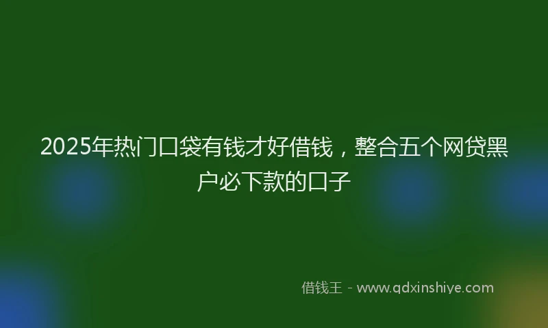2025年热门口袋有钱才好借钱，整合五个网贷黑户必下款的口子