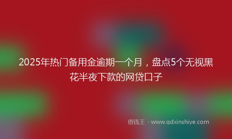 2025年热门备用金逾期一个月，盘点5个无视黑花半夜下款的网贷口子