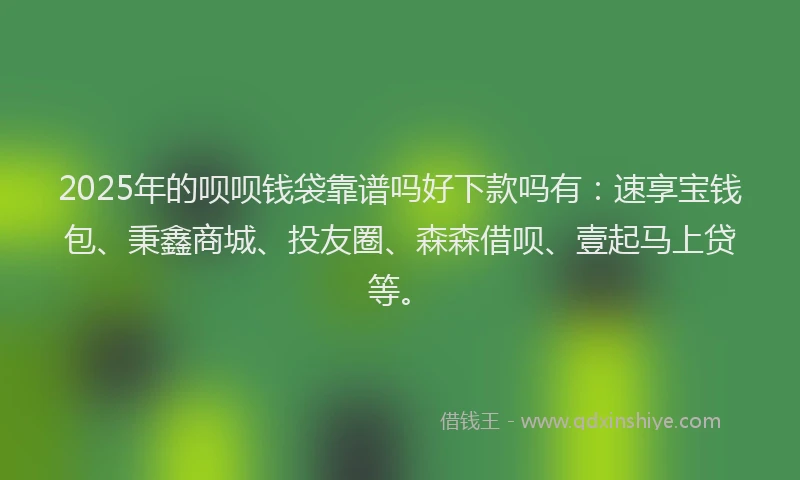 2025年的呗呗钱袋靠谱吗好下款吗有：速享宝钱包、秉鑫商城、投友圈、森森借呗、壹起马上贷等。