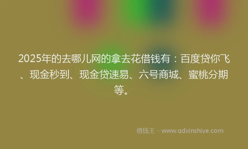 2025年的去哪儿网的拿去花借钱有：百度贷你飞、现金秒到、现金贷速易、六号商城、蜜桃分期等。