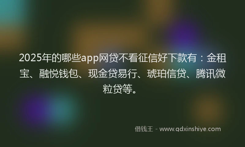 2025年的哪些app网贷不看征信好下款有：金租宝、融悦钱包、现金贷易行、琥珀信贷、腾讯微粒贷等。