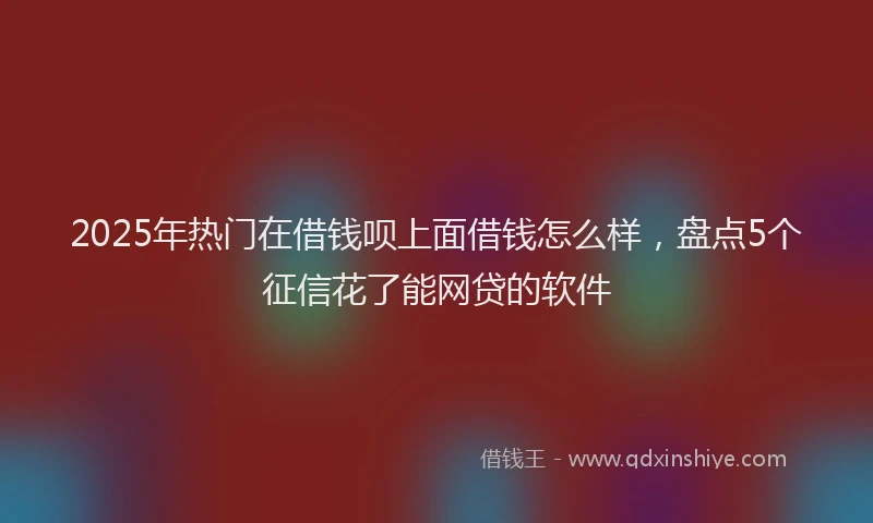 2025年热门在借钱呗上面借钱怎么样，盘点5个征信花了能网贷的软件