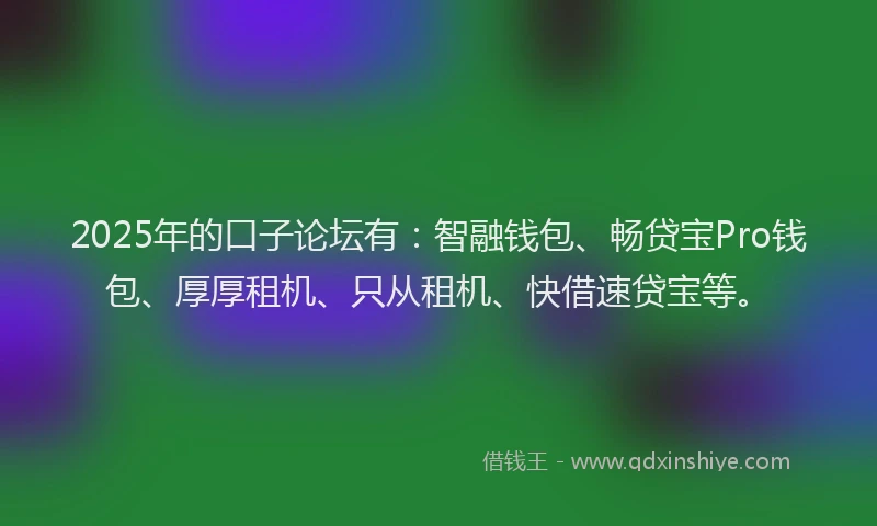 2025年的口子论坛有：智融钱包、畅贷宝Pro钱包、厚厚租机、只从租机、快借速贷宝等。